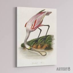 "Artery8 Roseate Spoonbill Couaihac Vintage Canvas Wall Art in White - Size: W18"" x H24""" - thumbnail 2