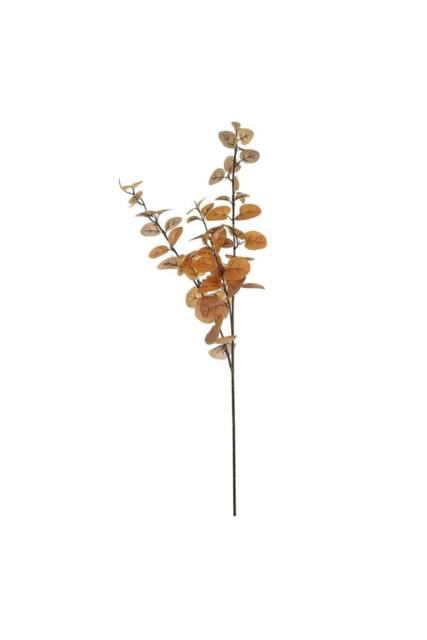 KDMD Essential Autumn Eucalyptus Stem - Brown 2 Pack - image 1