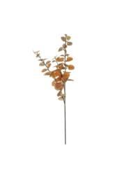 KDMD Essential Autumn Eucalyptus Stem - Brown 2 Pack - thumbnail 2