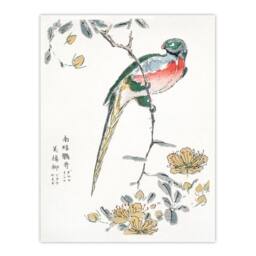 Artery8 Numata Kashu Framed Wall Art Print Macaw Parrot & Peach Flowers - Size: A4 - thumbnail 3