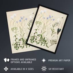 "Artery8 New Zealand Perennial Wild Flowers Featon Wall Art Poster Print in Beige - Size: W24"" x H32""" - thumbnail 2