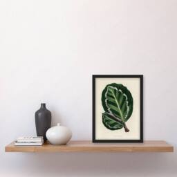 Artery8 Vintage Botanical Maranta Calathea Leaves Fawcett Framed Wall Art in Beige - Size: A4 - thumbnail 2