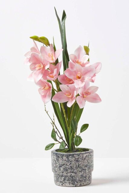 Homescapes Pink Orchid 58 cm Cymbidium in Cement Pot Extra Large, 2 Stems - image 1