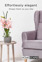 Homescapes Pink Orchid 58 cm Cymbidium in Cement Pot Extra Large, 2 Stems - thumbnail 6