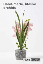Homescapes Pink Orchid 58 cm Cymbidium in Cement Pot Extra Large, 2 Stems - thumbnail 2