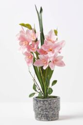 Homescapes Pink Orchid 58 cm Cymbidium in Cement Pot Extra Large, 2 Stems - thumbnail 1