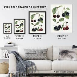 Artery8 Vintage Illustration of Cherry Varieties Wright Framed Wall Art Print in White - Size: A4 - thumbnail 3