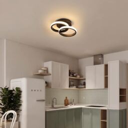Pheashine Modern LED Ceiling Light, 22W, Warm White, For Living Room, Hallway in Black - thumbnail 5