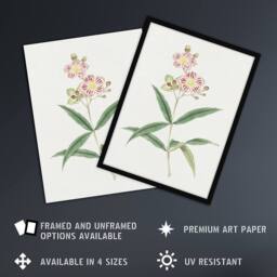 Artery8 Red White Blossoms Japan Framed Wall Art Print Vintage Japanese Flower in Green - Size: A4 - thumbnail 2