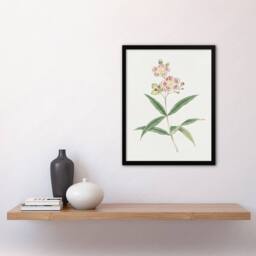 Artery8 Red White Blossoms Japan Framed Wall Art Print Vintage Japanese Flower in Green - Size: A4 - thumbnail 4