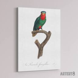 "Artery8 The blue Crowned Lorikeet Parrot Levaillant Canvas Wall Art Print in White - Size: W12"" x H16""" - thumbnail 2