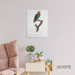 "Artery8 The blue Crowned Lorikeet Parrot Levaillant Canvas Wall Art Print in White - Size: W12"" x H16""" - thumbnail 3