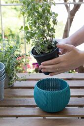 Keter Knit Cozies Plastic Indoor Planters - Set of 3 - thumbnail 3