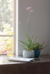 Keter Knit Cozies Plastic Indoor Planters - Set of 3 - thumbnail 4