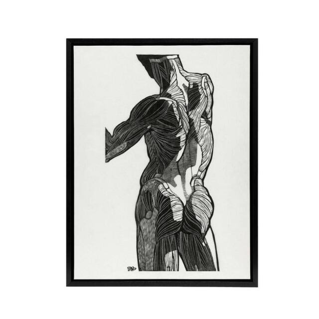"Artery8 Anatomical study of gluteal muscles Stolk Framed Canvas Wall Art Print in White - Size: W12"" x H16""" - image 1