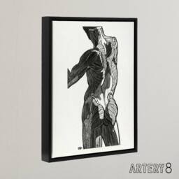 "Artery8 Anatomical study of gluteal muscles Stolk Framed Canvas Wall Art Print in White - Size: W12"" x H16""" - thumbnail 2