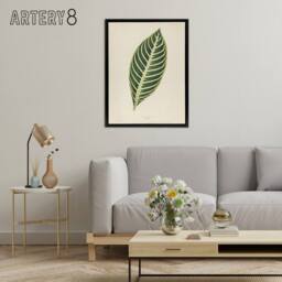 "Artery8 Vintage Botanical Tiger Plant Leaf Fawcett Black Framed Canvas Art in Beige - Size: W12"" x H16""" - thumbnail 3