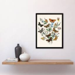 Artery8 William Forsell Kirby Framed Wall Art Butterflies & Caterpillars in White - Size: A4 - thumbnail 2