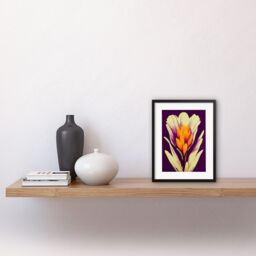 "Artery8 Wall Art Print Vibrant Saffron Crocus Flower Abstract in Violet Orange Cream Artwork Framed 9X7 Inch in Black - Size: W7"" x H9""" - thumbnail 2