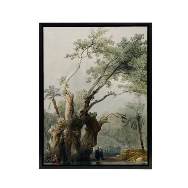 "Artery8 The Holy Tree of Metereah D. Roberts Black Framed Canvas Wall Art in Green - Size: W12"" x H16""" - image 1