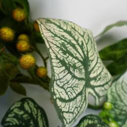 Leaf Artificial Hanging Trailing Plant Plant Alocasia Sinuata Botanik in Green - thumbnail 4