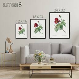 "Artery8 Callirhoe Poppy Mallow Flower Redoute Vintage Framed Canvas Wall Art in White - Size: W12"" x H16""" - thumbnail 4