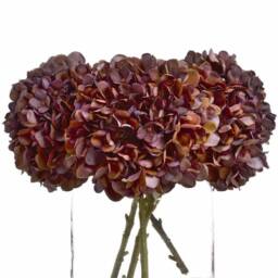 Lemon Pavilion Furniture and Decor Autumn Coffee Hydrangea Artificial Flower 1 Stem - L18 x W18 x H42 cm in Brown