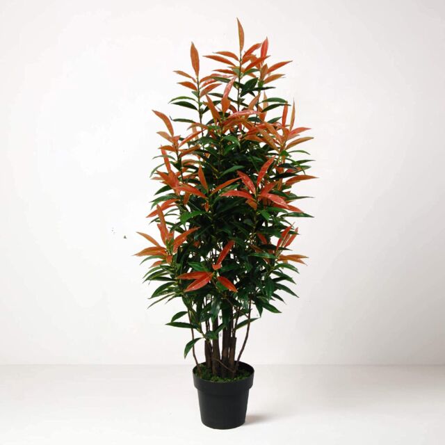 Tradala Trees Lush Artificial Tree Ficus with Real Wood Trunk in Dark Green - Size: 4ft - image 1