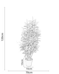Tradala Trees Lush Artificial Tree Ficus with Real Wood Trunk in Dark Green - Size: 4ft - thumbnail 3