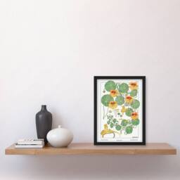 Artery8 Maurice Pillard Verneuil Framed Wall Art Print Nasturtium Flower in White - Size: A4 - thumbnail 2