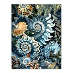 "Artery8 Sea Ocean Life Coral Reef Forms Design Wall Art Print in Blue - Size: W12"" x H16""" - thumbnail 1