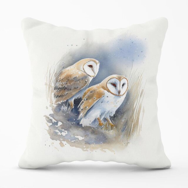 Warren Reed - Designer Barn Ano Owls Watercolour Outdoor Cushion in Brown - Size: 60 cm x 60 cm - image 1