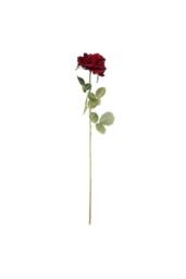 KDMD Arundel Open Rose Burgundy 3 Pack - thumbnail 2