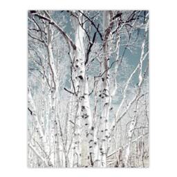 Artery8 Carol M Highsmith Birch Trees in Utah Photograph Framed Wall Art Print - Size: A3 - thumbnail 3