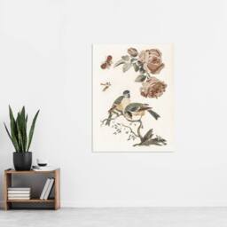 "Artery8 Roses Butterfly A Blue & Great Tit Teyler Wall Art Poster Print in White - Size: W18"" x H24""" - thumbnail 4