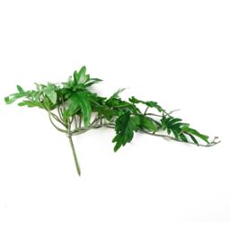 Leaf 6 x 50cm Artificial Trailing Philodendron Large Plant in Green - Size: 6 x 50 cm - thumbnail 4