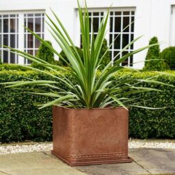 Royal Botanic Gardens Kew Kew Aged Copper Regency Outdoor Planter 38Cm - Premium Quality - 2 Other Sizes Available - 3 Year Warranty - Detachable - thumbnail 5