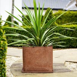 Royal Botanic Gardens Kew Kew Aged Copper Regency Outdoor Planter 38Cm - Premium Quality - 2 Other Sizes Available - 3 Year Warranty - Detachable - thumbnail 6