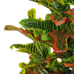 Leaf 90cm Artificial Codiaeum Multicoloured House Plant in Orange - thumbnail 4