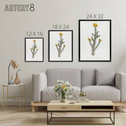 "Artery8 Sansom Smooth Parrot Pea Botanical Illustration Framed Canvas Art in White - Size: W12"" x H16""" - thumbnail 4