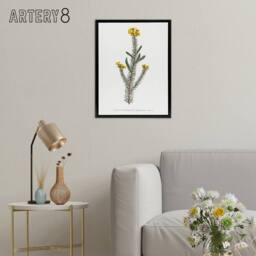 "Artery8 Sansom Smooth Parrot Pea Botanical Illustration Framed Canvas Art in White - Size: W12"" x H16""" - thumbnail 3