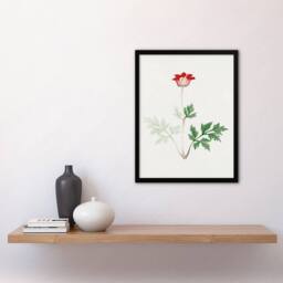 Artery8 Vintage Japan Botanical Framed Wall Art Print Red Bloom Flower - Size: A4 - thumbnail 2