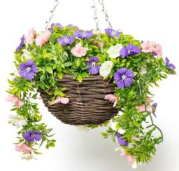 Primrose Artificial Petunia Flowers Rattan Hanging Basket Decoration Pink Purple & White 25cm