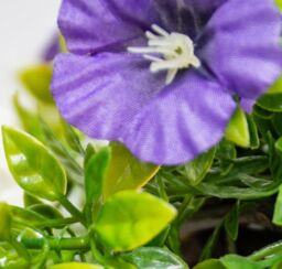Primrose Artificial Petunia Flowers Rattan Hanging Basket Decoration Pink Purple & White 25cm - thumbnail 3