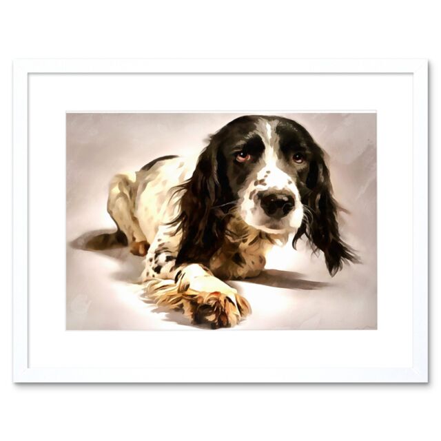 "Artery8 Wall Art Print Springer Spaniel Cute Dog Framed in White - Size: W7"" x H9""" - image 1