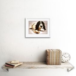 "Artery8 Wall Art Print Springer Spaniel Cute Dog Framed in White - Size: W7"" x H9""" - thumbnail 2