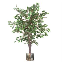 Leaf 130cm LARGE White Edge Ficus Artificial Plant Tree Silver Planter in Green