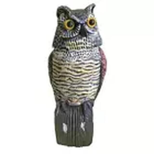 Havendro Owl Deterrent Bird Pigeon Rodents Crow Scare Statue Deter - image 1