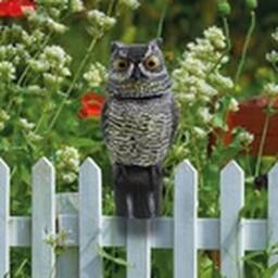 Havendro Owl Deterrent Bird Pigeon Rodents Crow Scare Statue Deter - thumbnail 2
