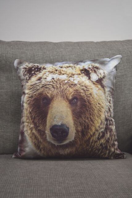 Rapport Home Big Bear Polyester Cushion Cover (43x43) Multicolor - Size: 43 cm x 43 cm - image 1